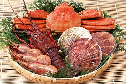 使用北海道產食材的豐富菜單