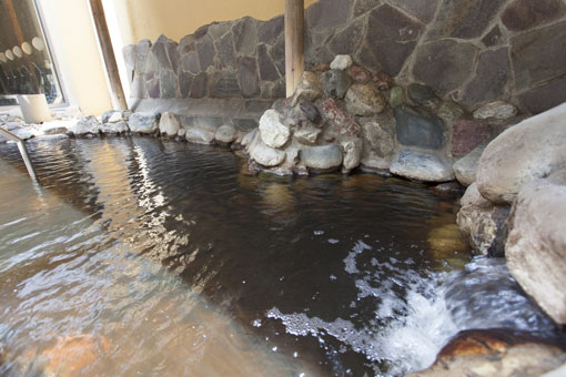 佇立在自然景觀優美、寬廣遼闊的十勝平原上，以天然溫泉為傲的「大平原飯店」。說到十勝川溫泉，不容錯過的就是以「美人湯」美譽聞名遐邇的「植物性褐碳溫泉」。為了讓旅客能充分享受高品質的溫泉，旅館設有大浴場、源泉掛流式的露天浴池、針對不同部位的SPA水療等，豐富多樣的浴池。不僅能品嚐來自北海道及十勝的嚴選食材製成的美味料理，集結西式、中式、洋式的BUFFET住宿方案也相當受到旅客青睞。另外，在餐廳還能品嚐日本料理、法式料理、十勝當地食材等佳餚，多樣化的美食帶來令人雀躍的味蕾享受。館內駐有通曉外文的服務人員及外文菜單，外國旅客也能安心入住。