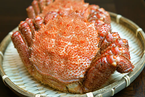 頂級 冷凍毛蟹（1隻500g）