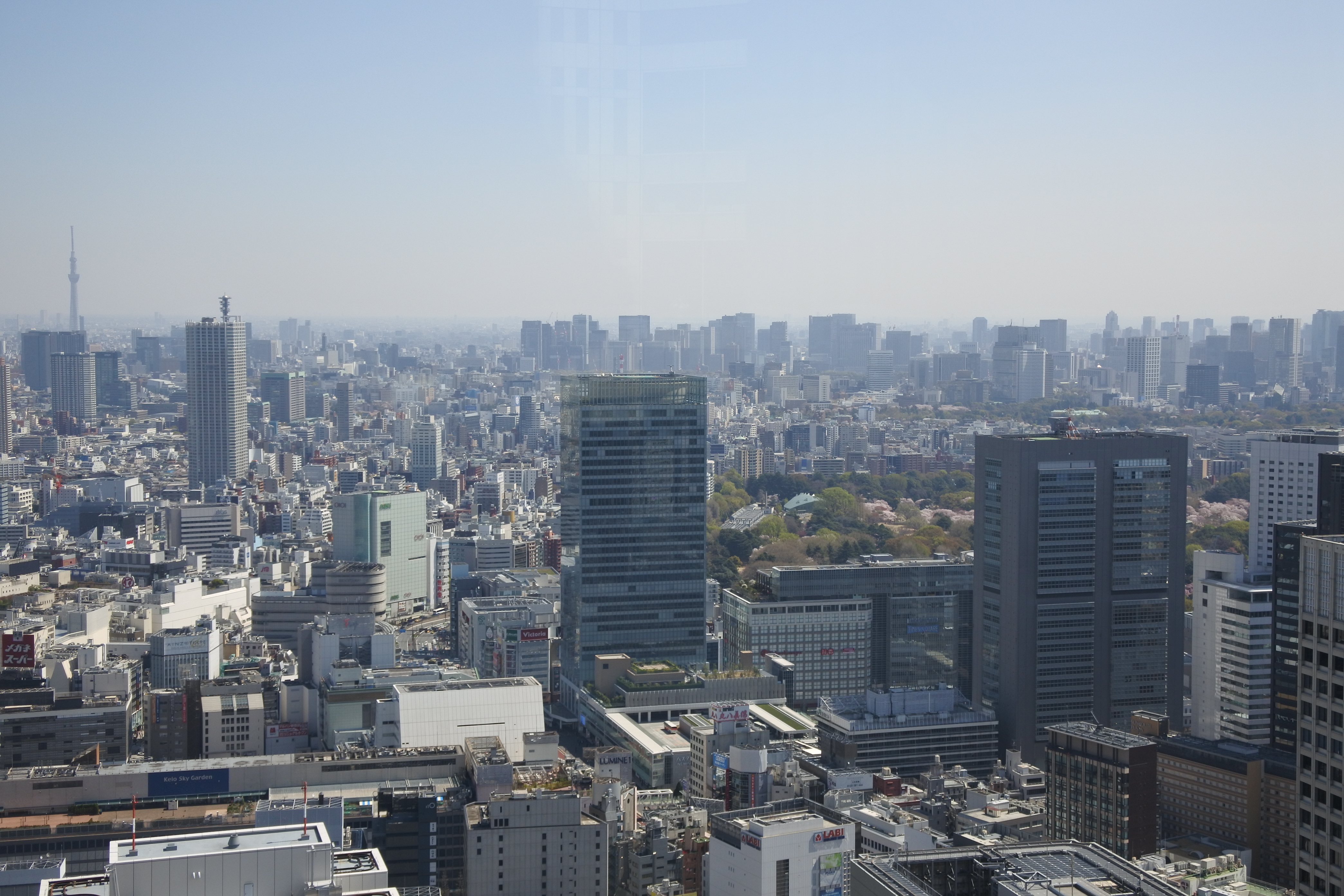 東京都內免費登高望遠好去處之整個東京都在我腳下